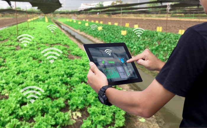 smart-farming-2-700x431.jpg